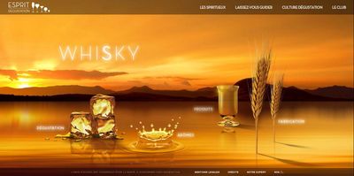 SOWINE_Esprit_Degustation_Whisky