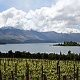 Central Otago