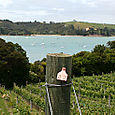 Waiheke Island