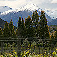 Central Otago