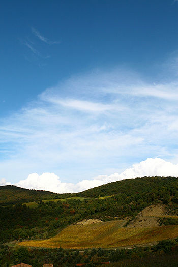 SOWINE_Toscane3