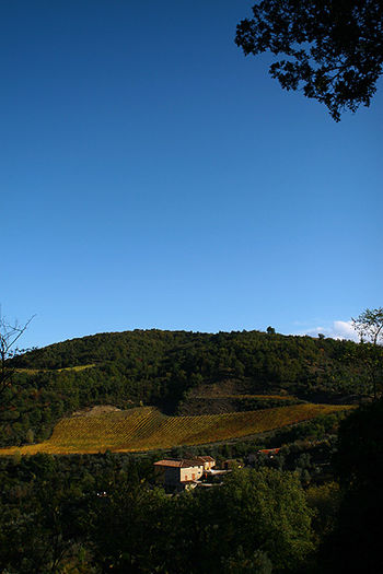 SOWINE_Toscane1