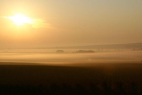 Paysage_de_Champagne_Sylvain_Dadé_3