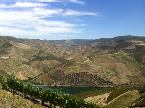 SOWINE_DOURO_3