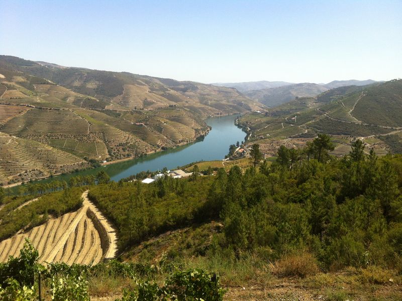SOWINE_DOURO_2