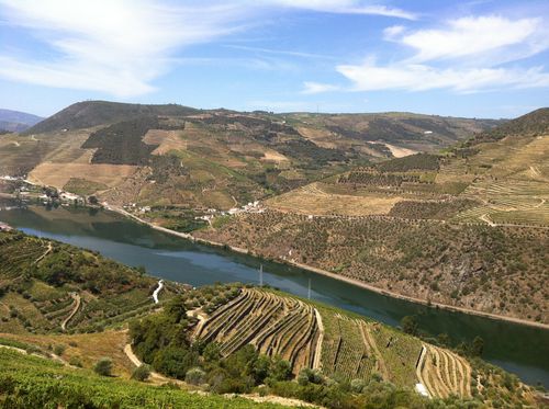 SOWINE_DOURO_4