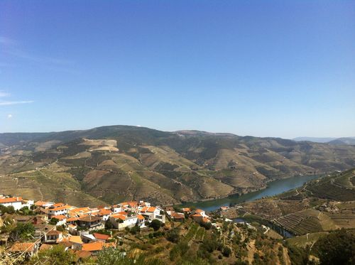 SOWINE_DOURO_1