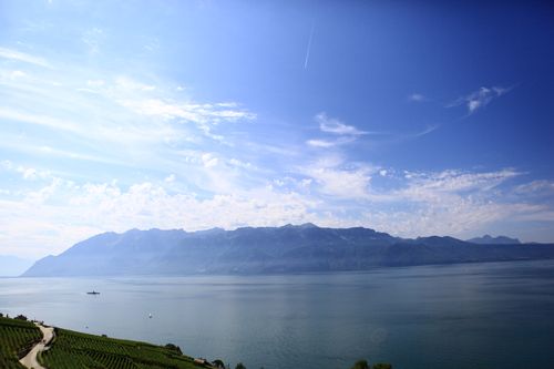 SOWINE_Lavaux_6