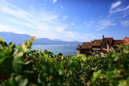 SOWINE_Lavaux_3