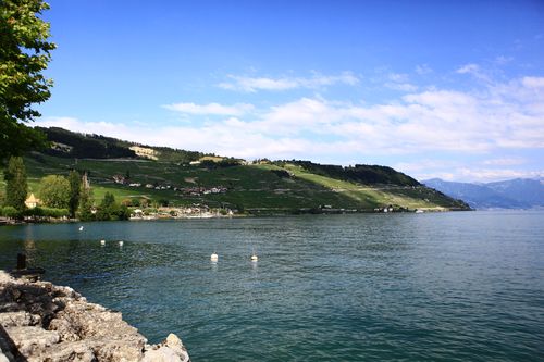 SOWINE_Lavaux_1